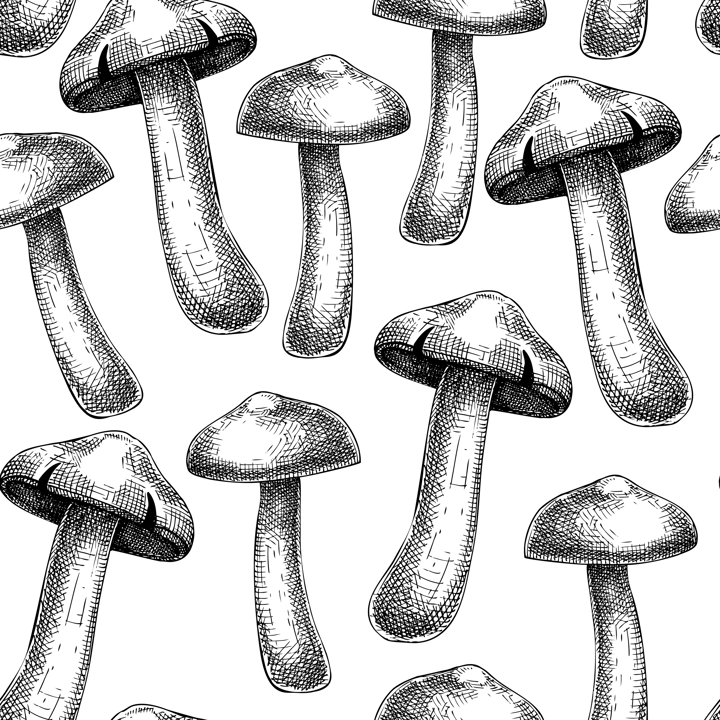 Mushroom seamless pattern. Sketched illustration. Hand-drawn food drawings. Forest plant sketches. Perfect for recipe, menu, label, icon, packaging, Vintage mushroom black outlines.